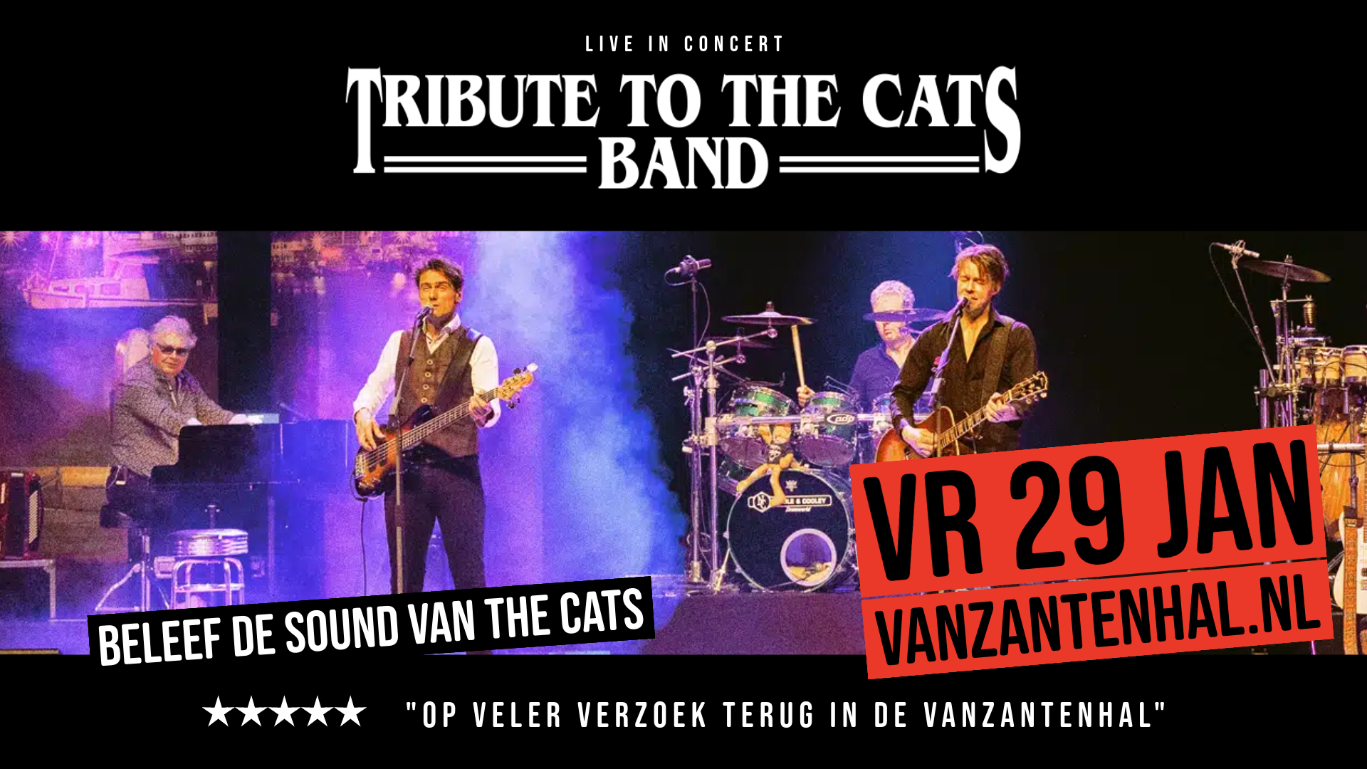 Tribute to the Cats Band Live in Concert